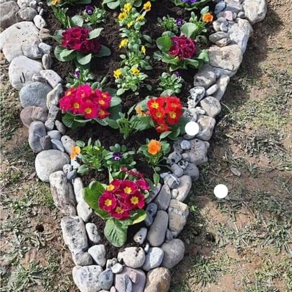 Meet your Posher, Nancy - Picture 1 of 2